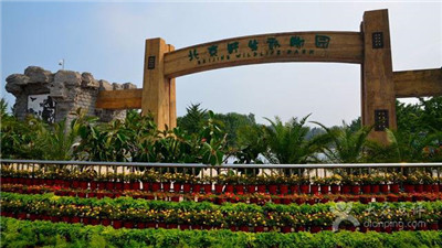 端午節，廠家帶您一樣的端午不一樣的過！